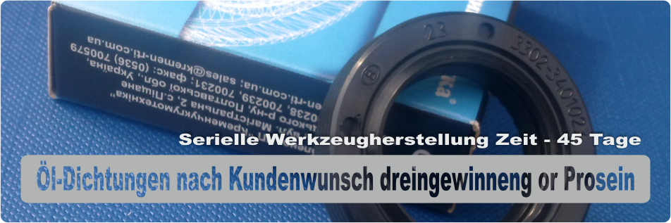 Öl-Dichtungen nach Kundenwunsch dreingewinneng or Prosein