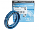 238B-1029240 Ölpumpendichtung, Einspritzpumpe 38x56x10 NBR-440 blau